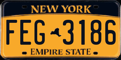 NY license plate FEG3186