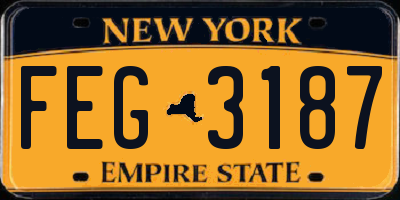 NY license plate FEG3187