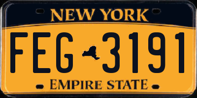 NY license plate FEG3191
