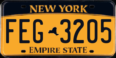 NY license plate FEG3205