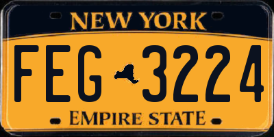 NY license plate FEG3224