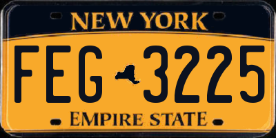 NY license plate FEG3225