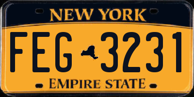 NY license plate FEG3231