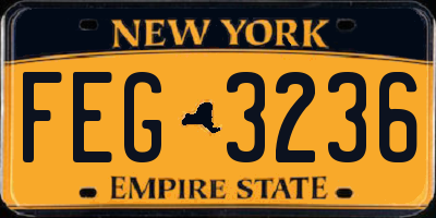 NY license plate FEG3236