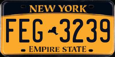 NY license plate FEG3239
