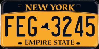 NY license plate FEG3245