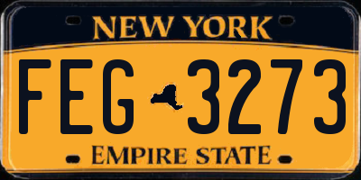 NY license plate FEG3273