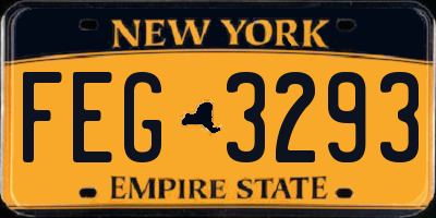 NY license plate FEG3293