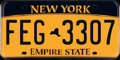 NY license plate FEG3307