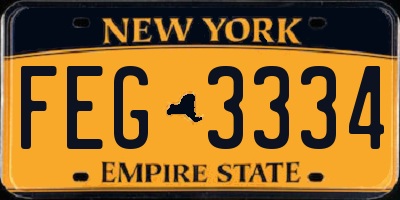 NY license plate FEG3334
