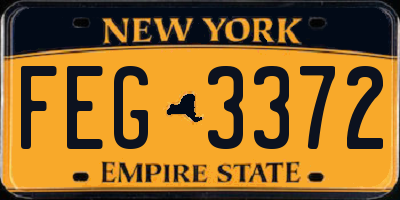 NY license plate FEG3372