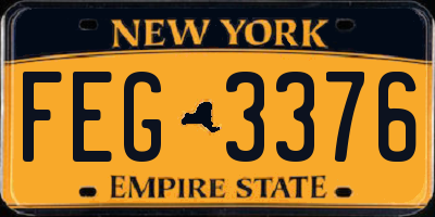 NY license plate FEG3376