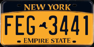 NY license plate FEG3441