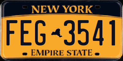 NY license plate FEG3541