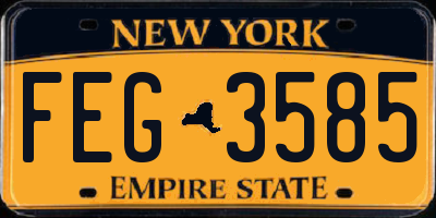 NY license plate FEG3585