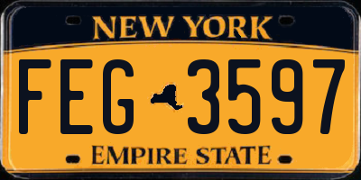 NY license plate FEG3597