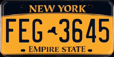 NY license plate FEG3645