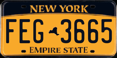NY license plate FEG3665