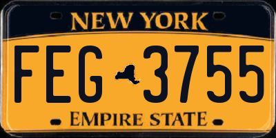 NY license plate FEG3755