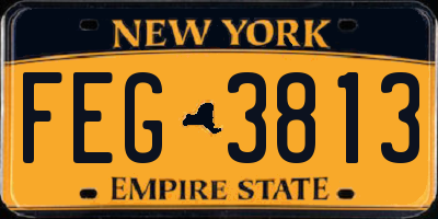 NY license plate FEG3813