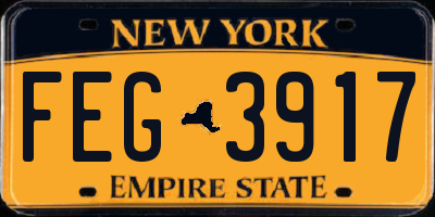NY license plate FEG3917