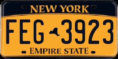 NY license plate FEG3923