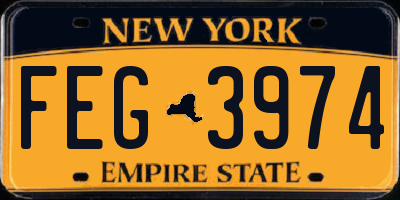 NY license plate FEG3974