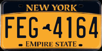NY license plate FEG4164