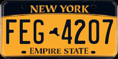 NY license plate FEG4207