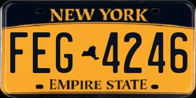 NY license plate FEG4246