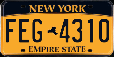 NY license plate FEG4310