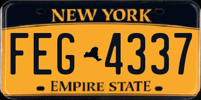 NY license plate FEG4337