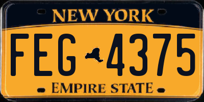 NY license plate FEG4375
