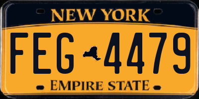 NY license plate FEG4479