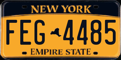 NY license plate FEG4485