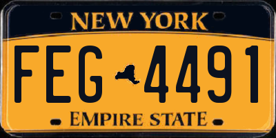 NY license plate FEG4491