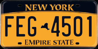 NY license plate FEG4501