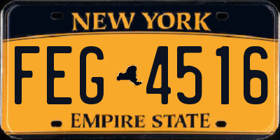 NY license plate FEG4516
