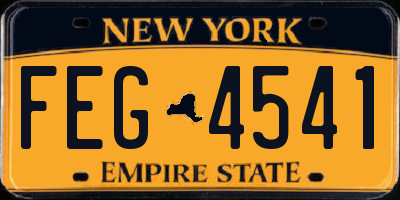 NY license plate FEG4541