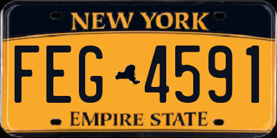 NY license plate FEG4591