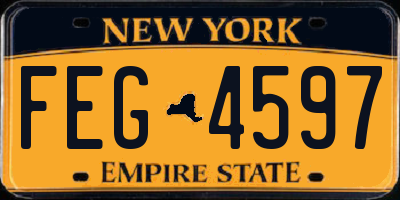 NY license plate FEG4597