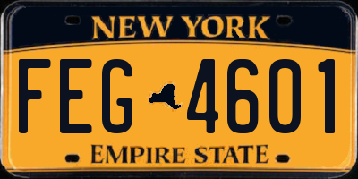 NY license plate FEG4601
