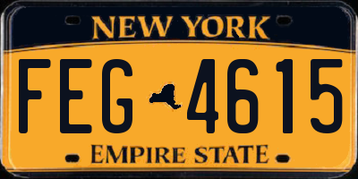 NY license plate FEG4615