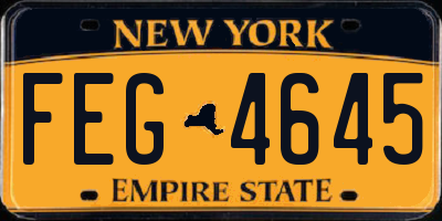 NY license plate FEG4645