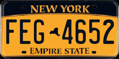 NY license plate FEG4652