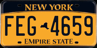 NY license plate FEG4659