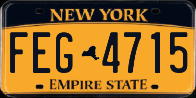 NY license plate FEG4715