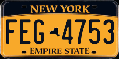 NY license plate FEG4753