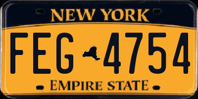 NY license plate FEG4754