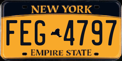 NY license plate FEG4797